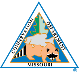 MS_DNR_Logo