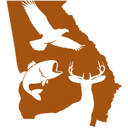 Georgia State Logo (Color)