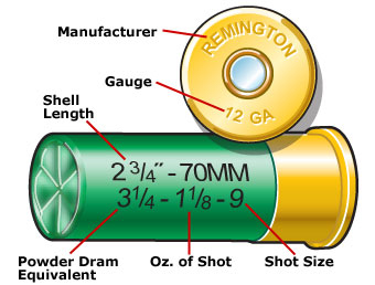 12 Gauge Shotgun Shell Size Chart