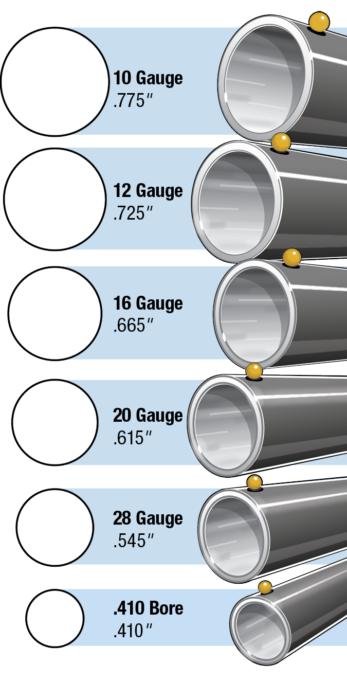 12 Gauge Shotgun Shell Size Chart